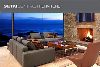 website branding design